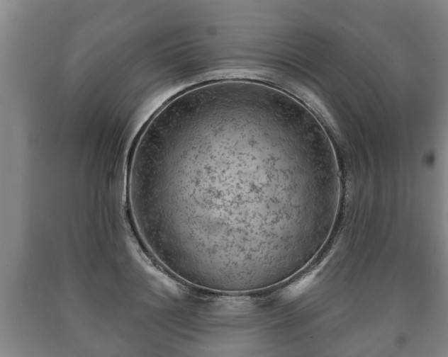 X0000090730844200707271401