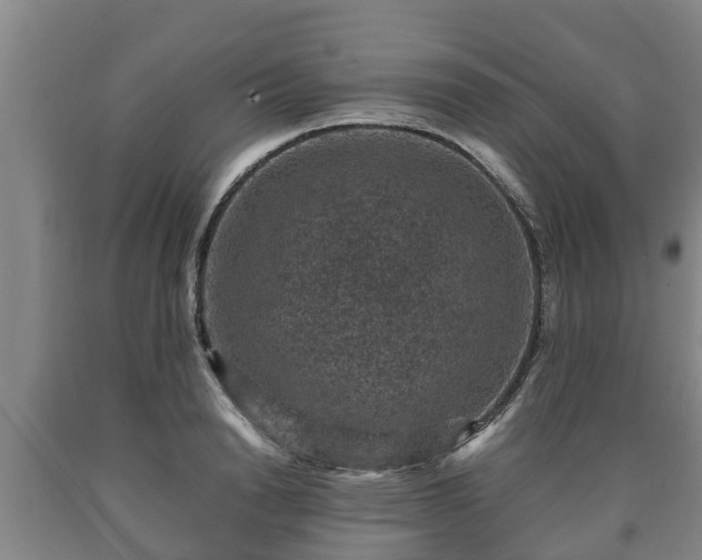 X0000090730846200707271401