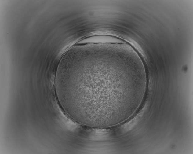 X0000090730849200707271401