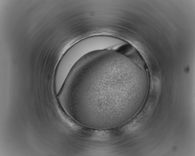 X0000090730850200707271401