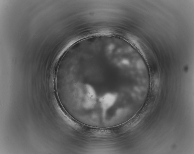 X0000090730851200707271401