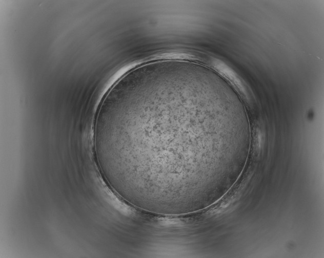 X0000090730852200707271401