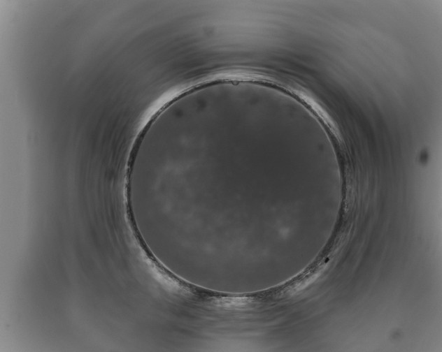 X0000090730853200707271401