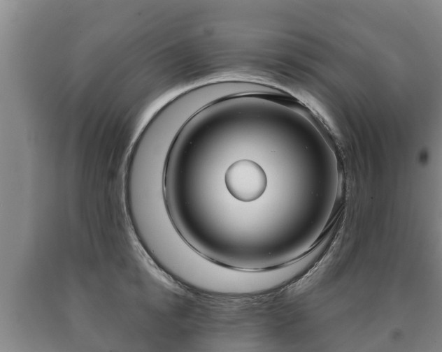 X0000090730854200707271401