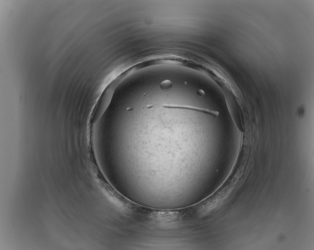X0000090730858200707271401