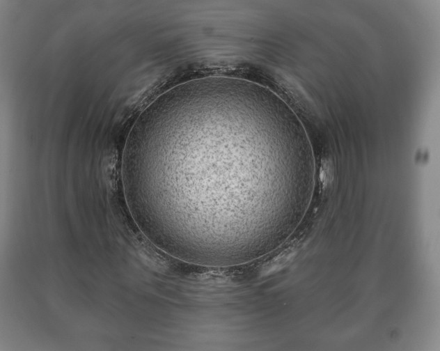 X0000090730867200707271401