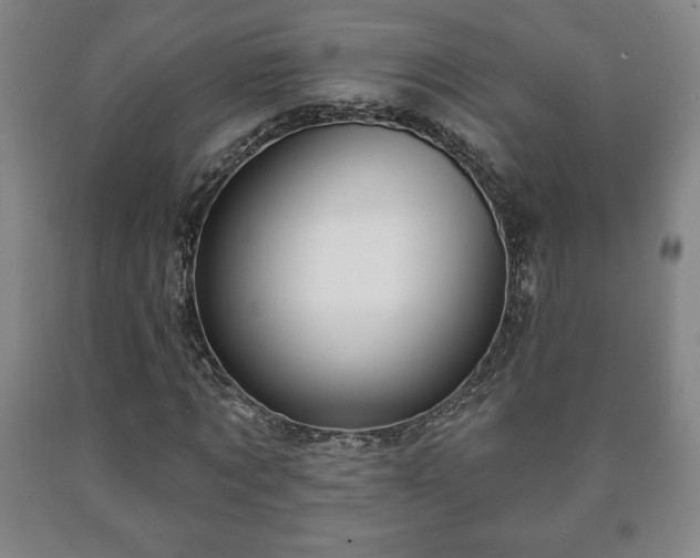 X0000090730869200707271401