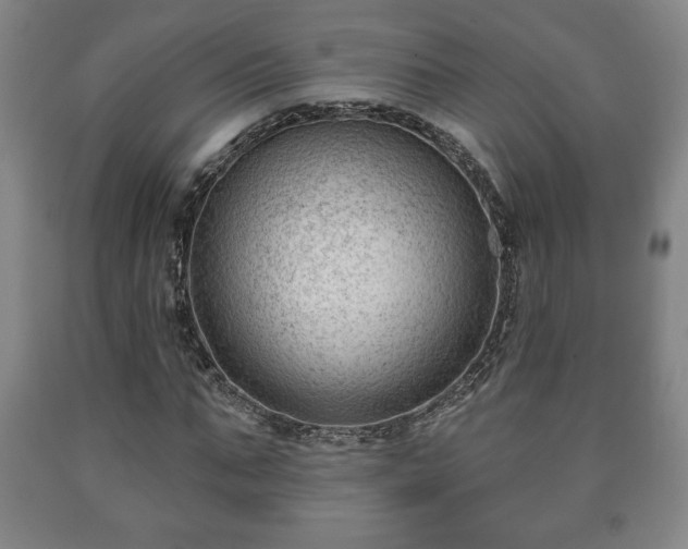 X0000090730871200707271401