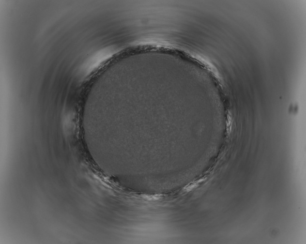 X0000090730872200707271401