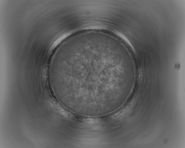 X0000090730874200707271401