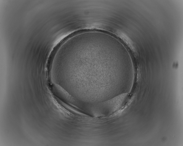 X0000090730876200707271401