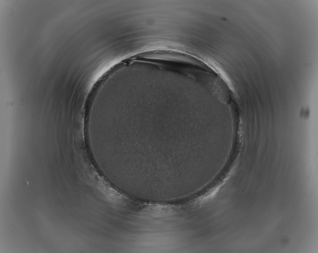 X0000090730877200707271401