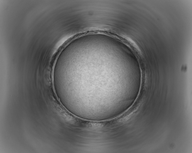 X0000090730878200707271401