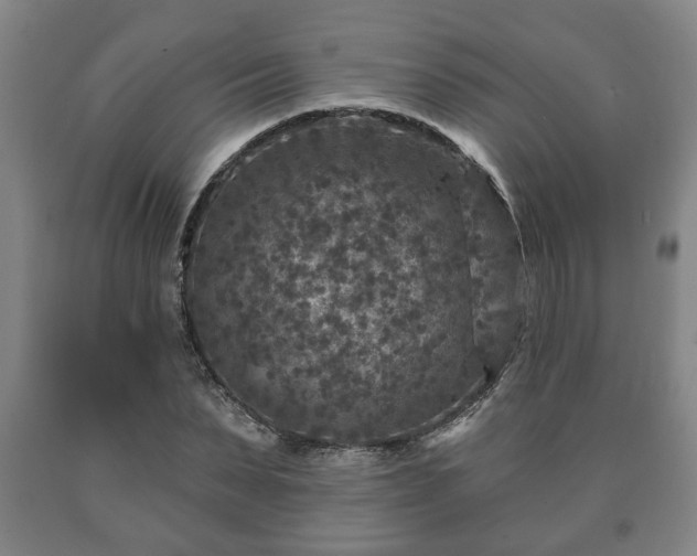 X0000090730879200707271401
