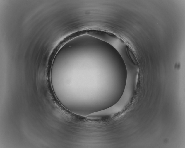 X0000090730880200707271401