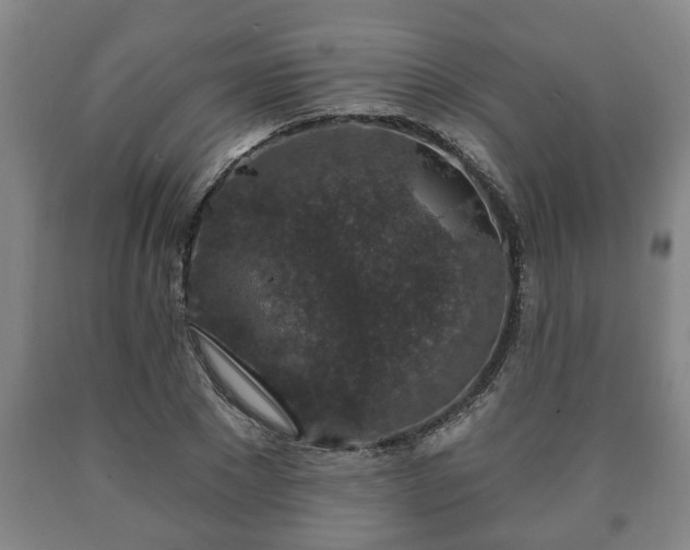 X0000090730881200707271401