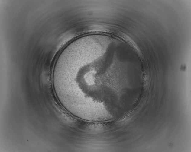 X0000090730882200707271401