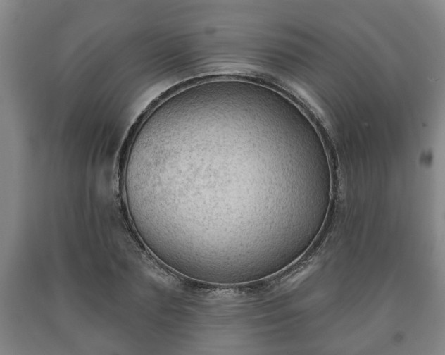 X0000090730883200707271401