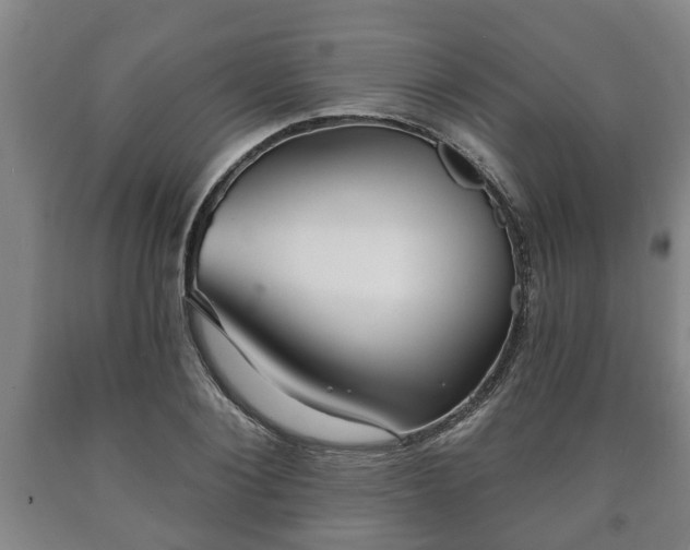 X0000090730884200707271401