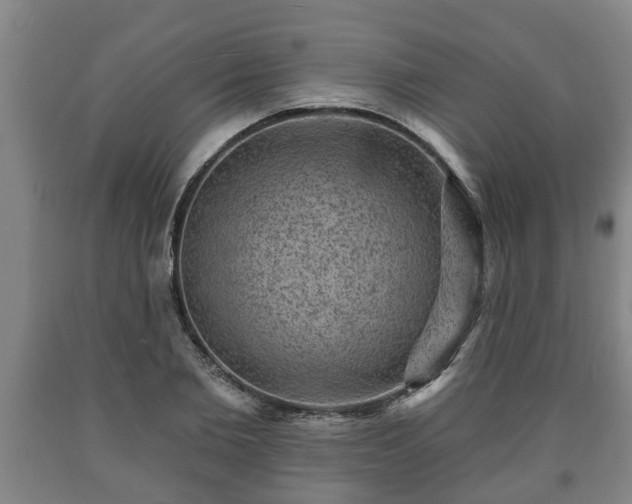 X0000090730885200707271401