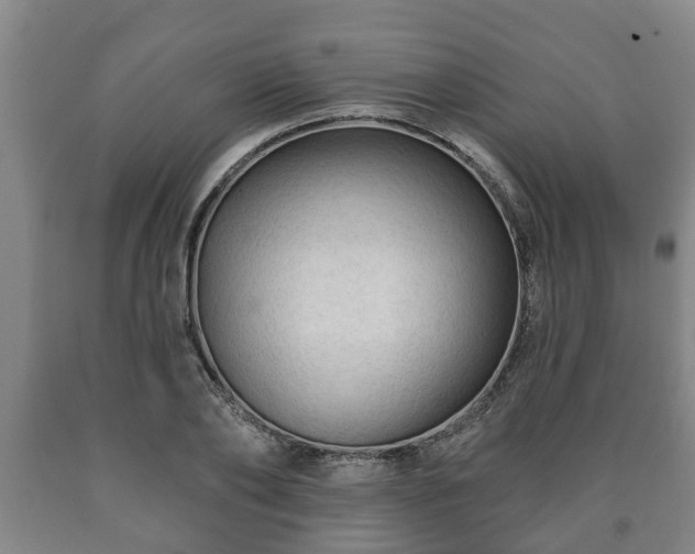 X0000090730886200707271401