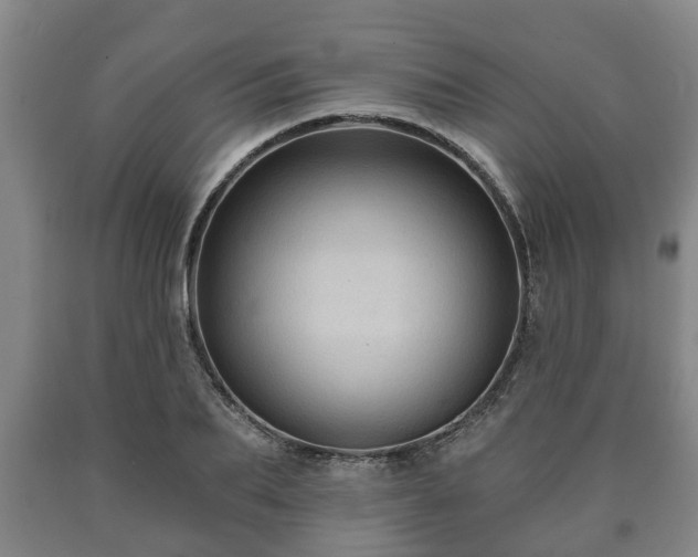 X0000090730887200707271401