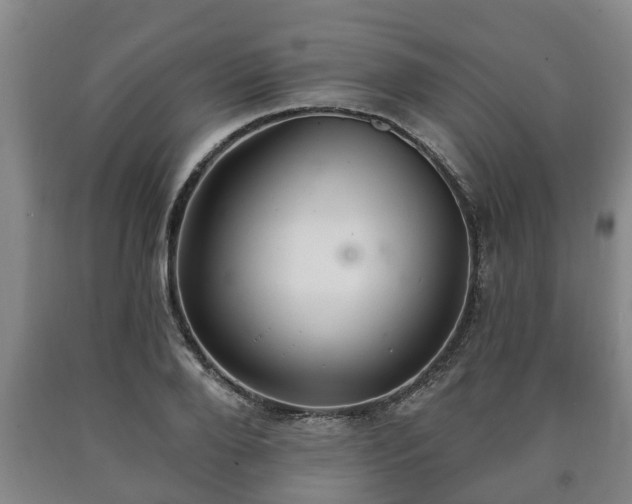 X0000090730888200707271401