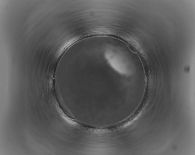 X0000090730889200707271401