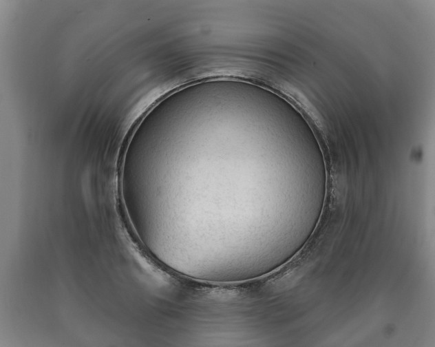 X0000090730890200707271401