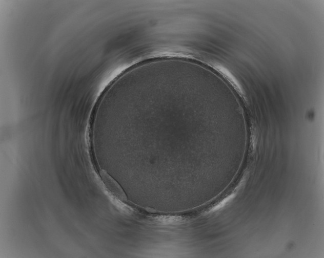 X0000090730893200707271401