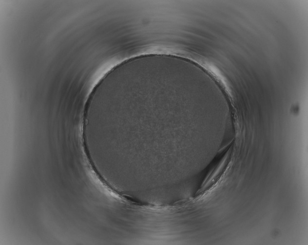 X0000090730896200707271400