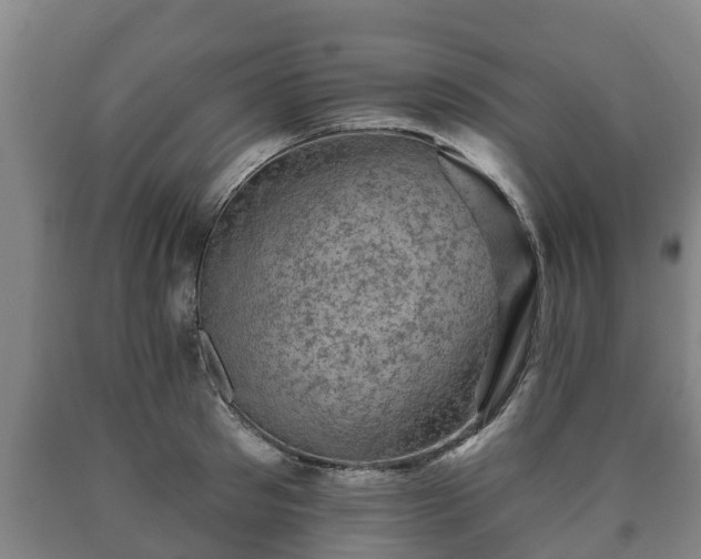 X0000090730897200707271400