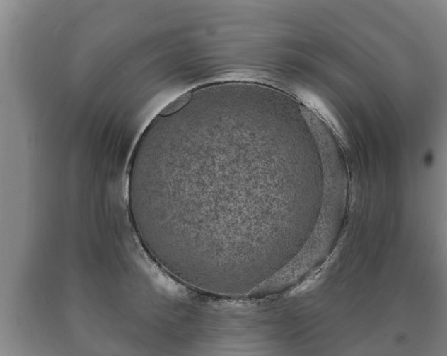 X0000090730900200707271400