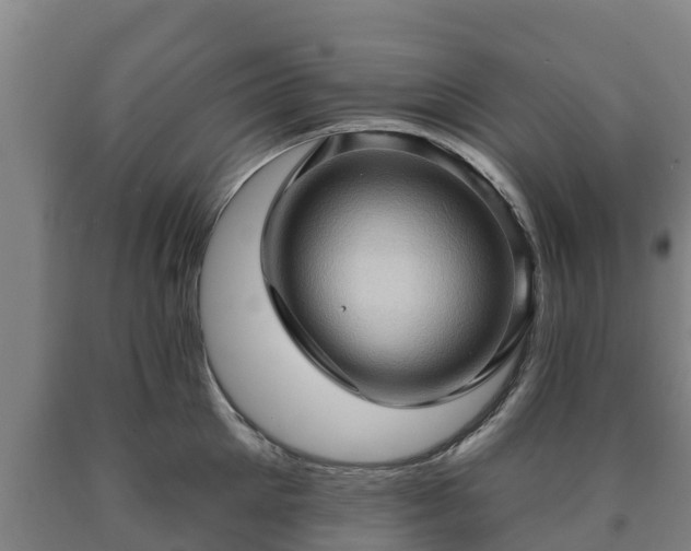 X0000090730905200707271400