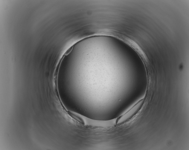 X0000090730908200707271400