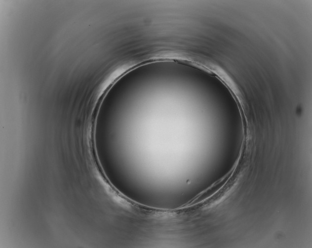 X0000090730909200707271400