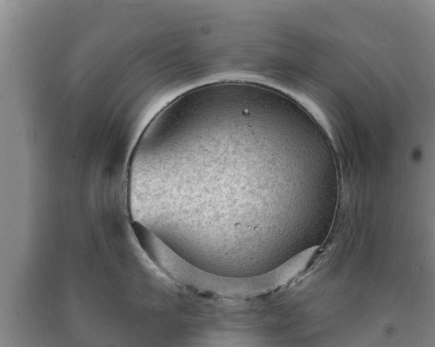 X0000090730911200707271400