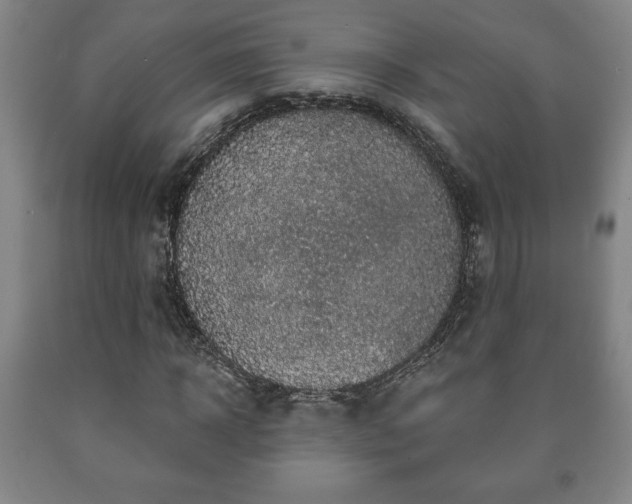 X0000090730918200707271400
