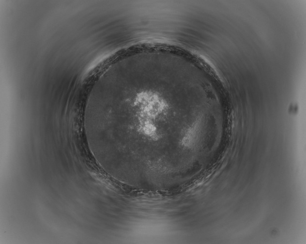 X0000090730919200707271400