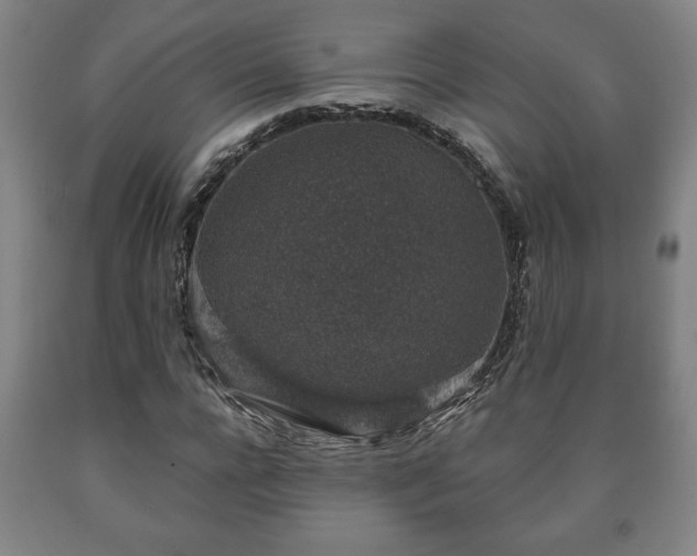X0000090730920200707271400