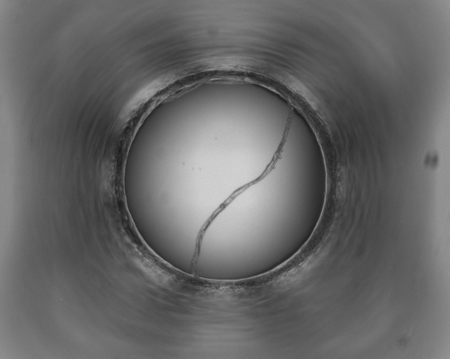X0000090730922200707271400