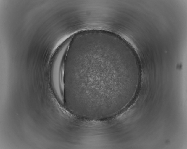 X0000090730925200707271400