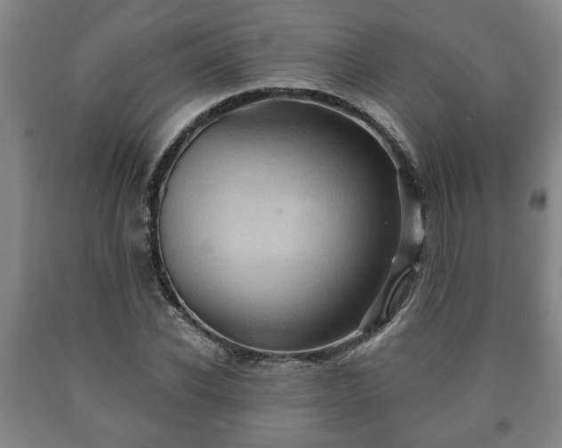X0000090730926200707271400