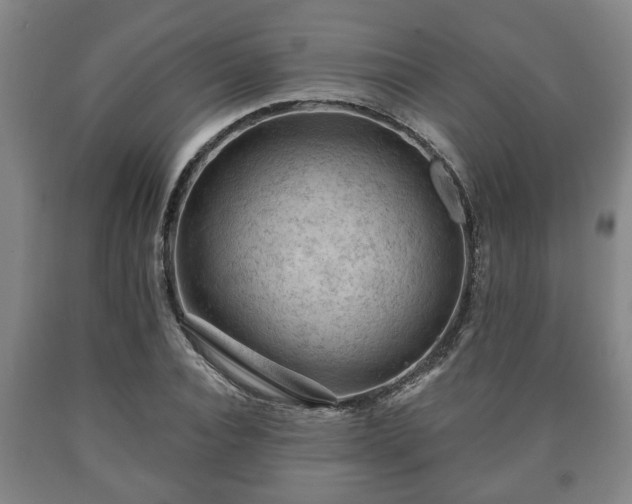 X0000090730928200707271400