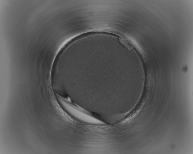 X0000090730932200707271400