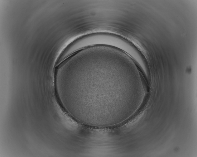 X0000090730934200707271400