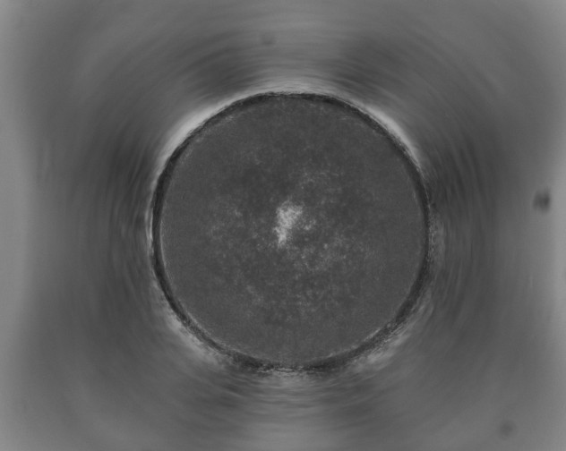 X0000090730935200707271400