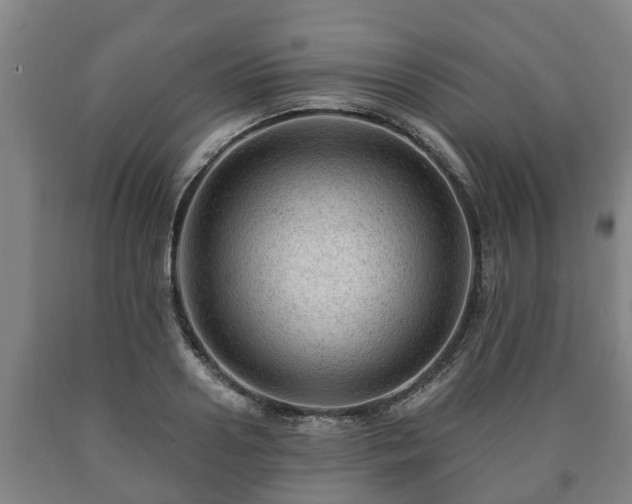 X0000090730938200707271400