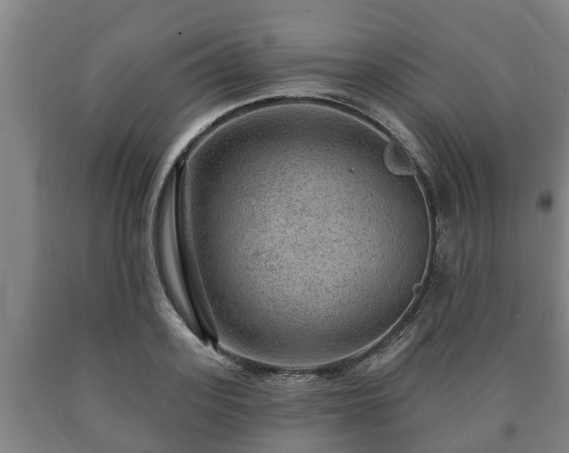 X0000090730939200707271400