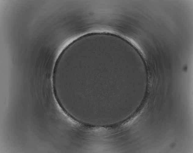 X0000090730943200707271400
